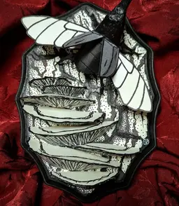 Black White Gray Beetle