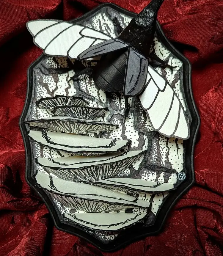 Black White Gray Beetle