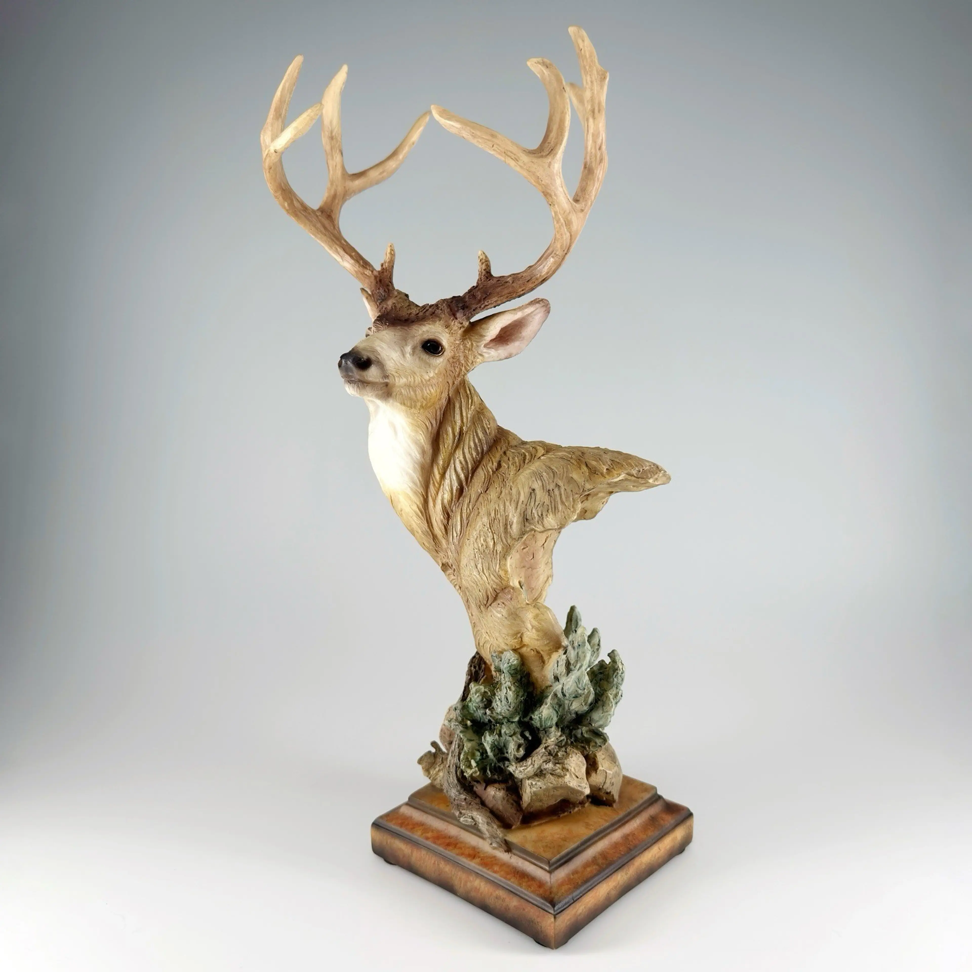 Image 4 of 12