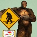 sasquatchpicker