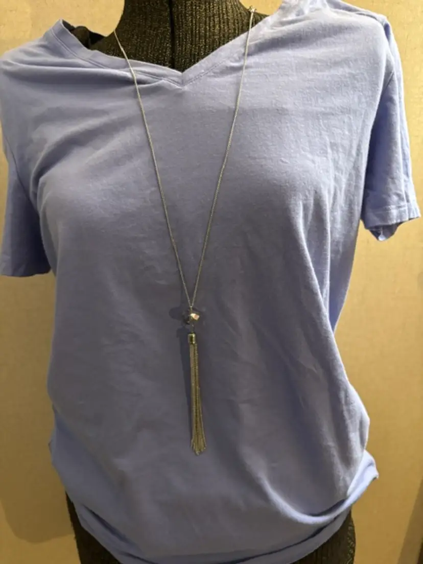 Paparazzi Socialite of the Season Silver Necklace W/Earrings.1J2-1