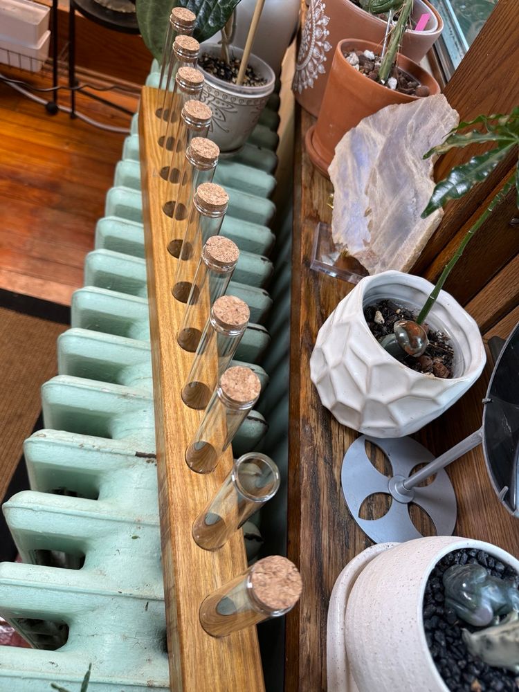 0025 Canarywood Propagation Station