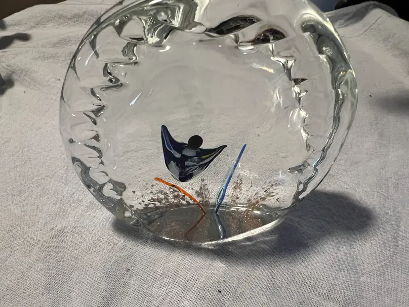 Art Glass Paperweight with Angel Fish Clamshell Clam Shell Shape