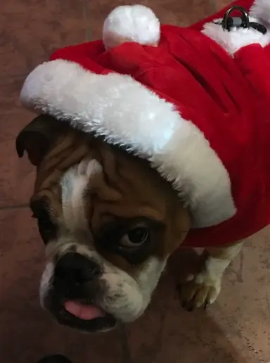 Rosey invite you to the Wednesday hump day show come see our listings comes in and say hi