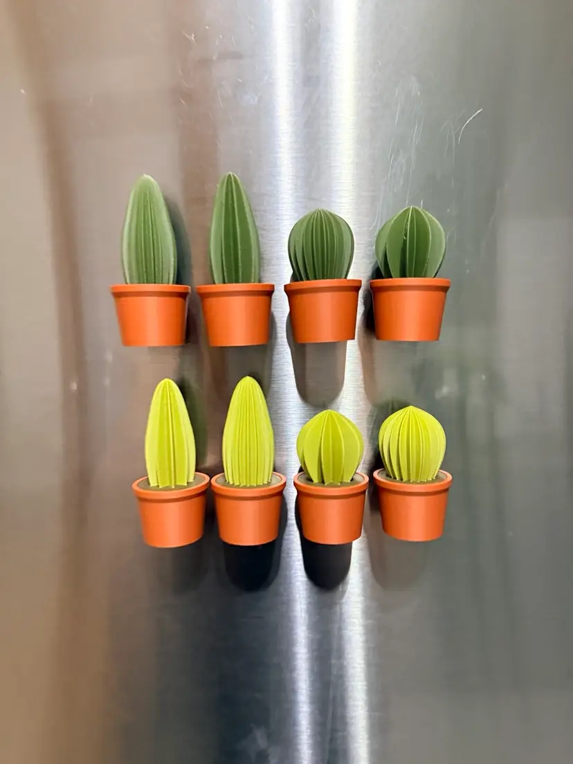 Magnet Set - Succulents (4-pack)