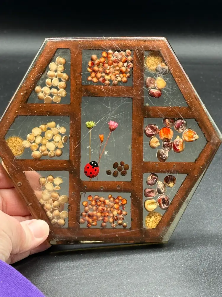 Vintage Gamut Designs Ladybug Resin Acrylic Trivet Lucite Flowers Seeds 1960s