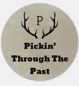 pickinthroughthepast