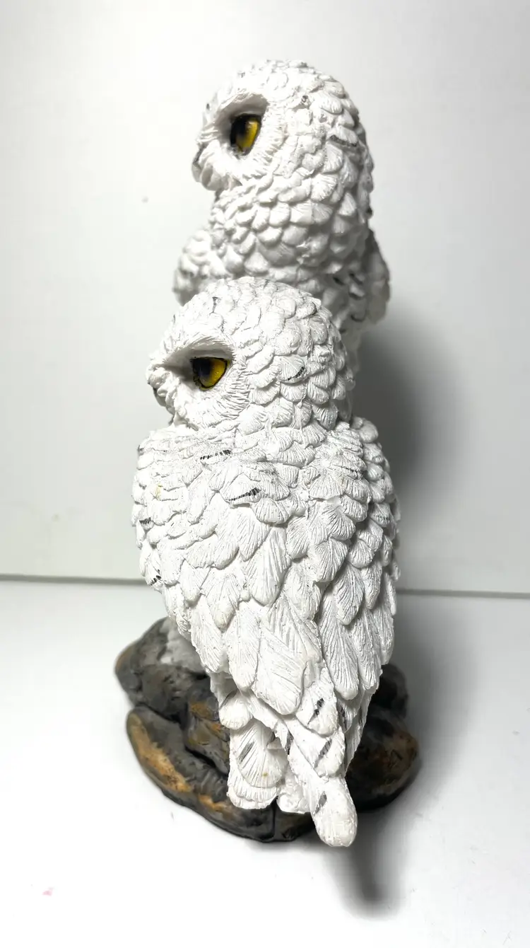 #01 Pair Of Snowy Owls