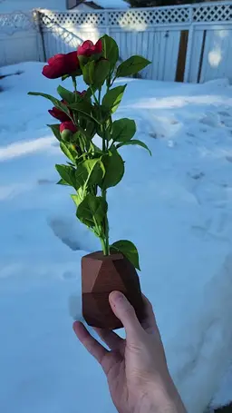 Random Angle Decorative Wooden Vases - Fake Plants