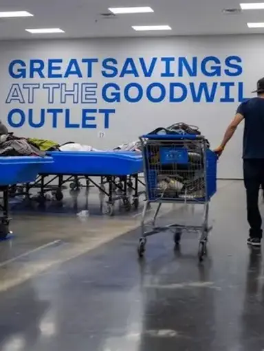 Continuing The Bins Haul! Low Starts And Lots Of Fun!