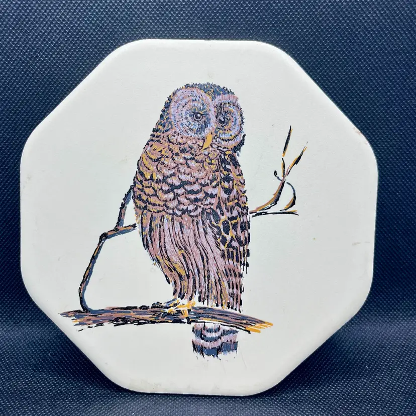 Vintage Cape Craftsmen ceramic barred owl tile trivet hand painted wall decor