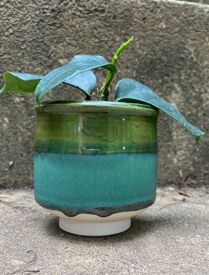 Livestream thumbnail