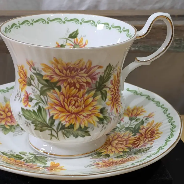 VTG Rosina Queen’s Fine Bone China Tea Cup & Saucer  Chrysanthem Special Flowers