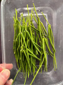 Emily's Linearis Starter Pack for 3.5" Pot