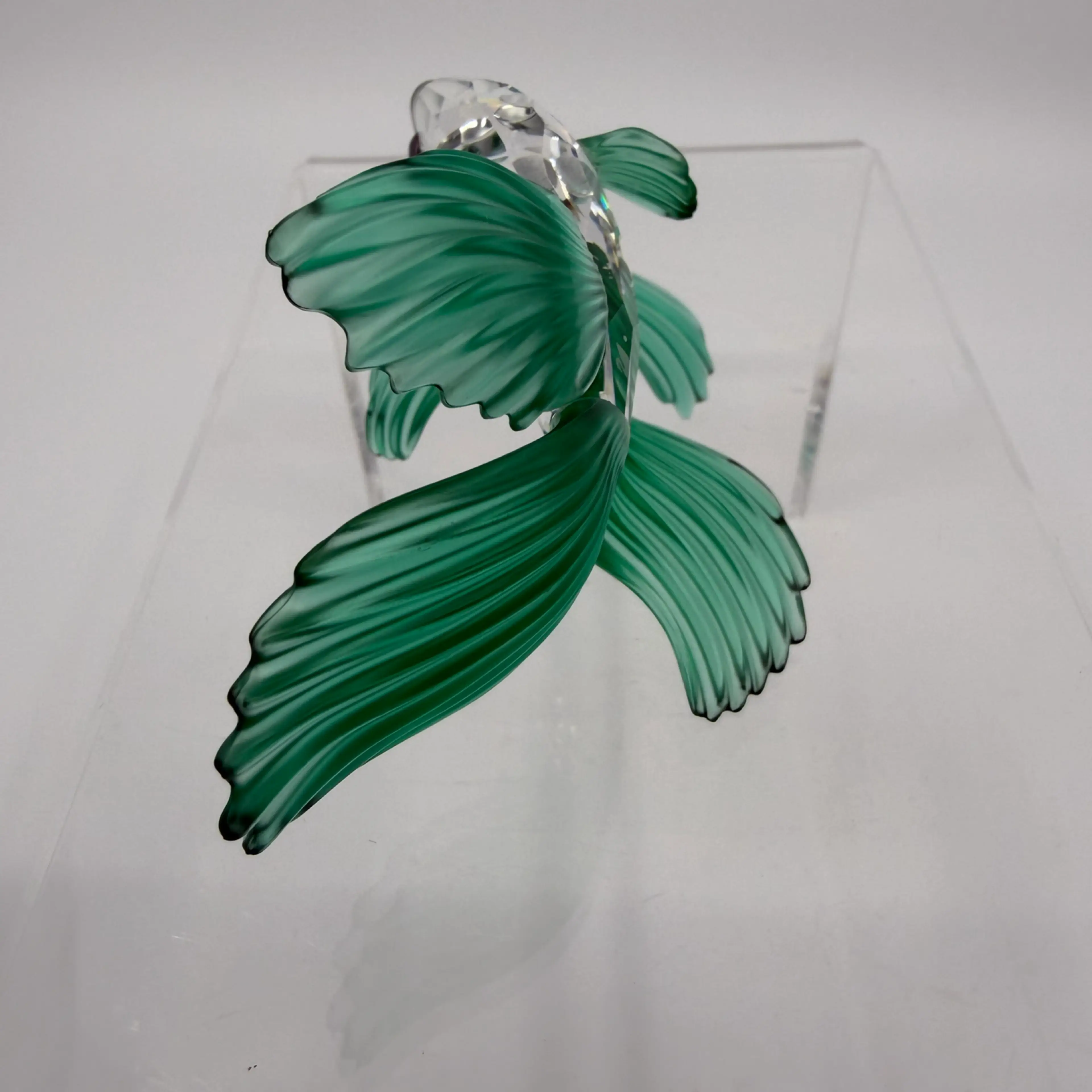 Image 4 of 7