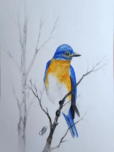 Some New Birds & Other Fun Stuff