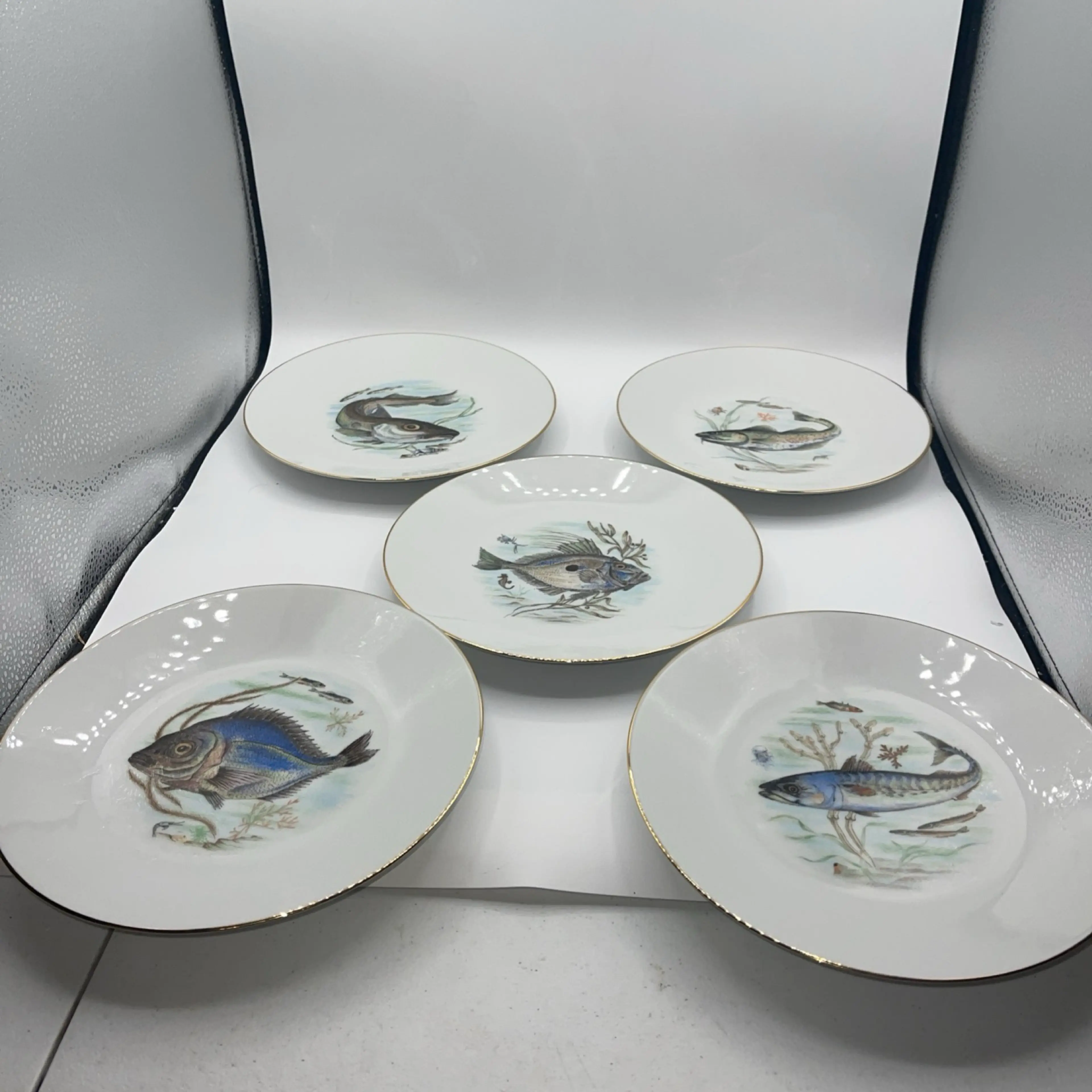 Image 2 of 11