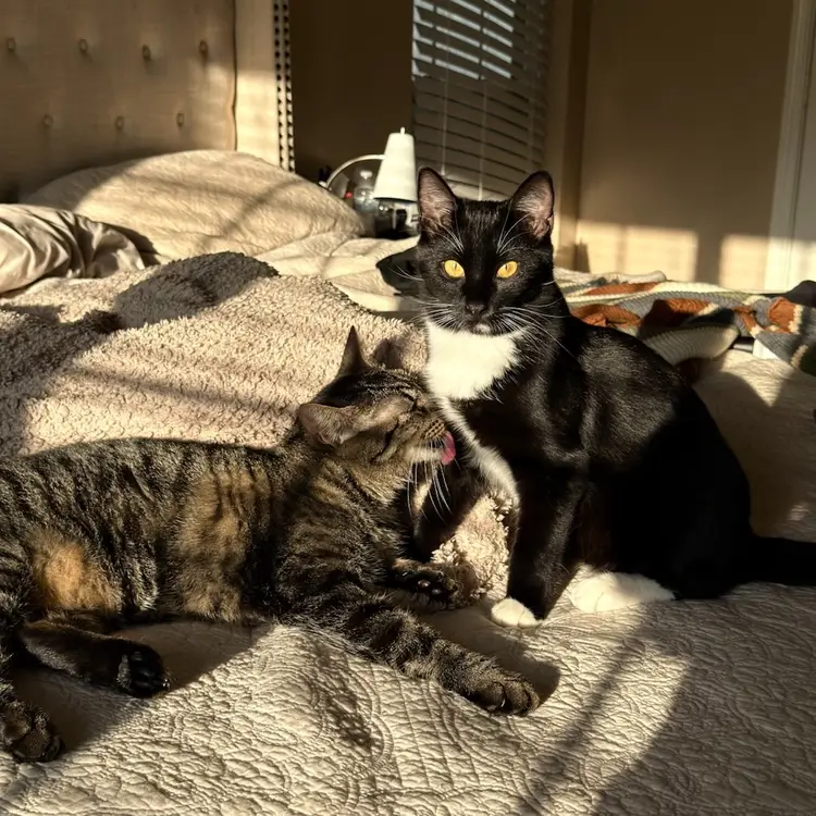 Custom Pillow Case For SKITTLESSSS