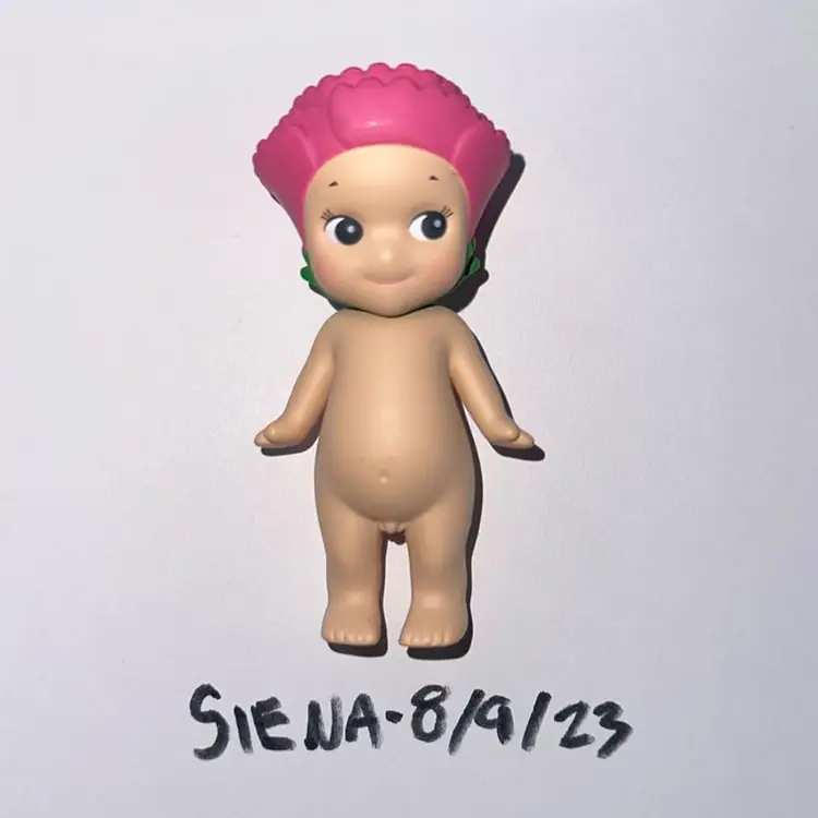 Flower Series: Carnation🌸 