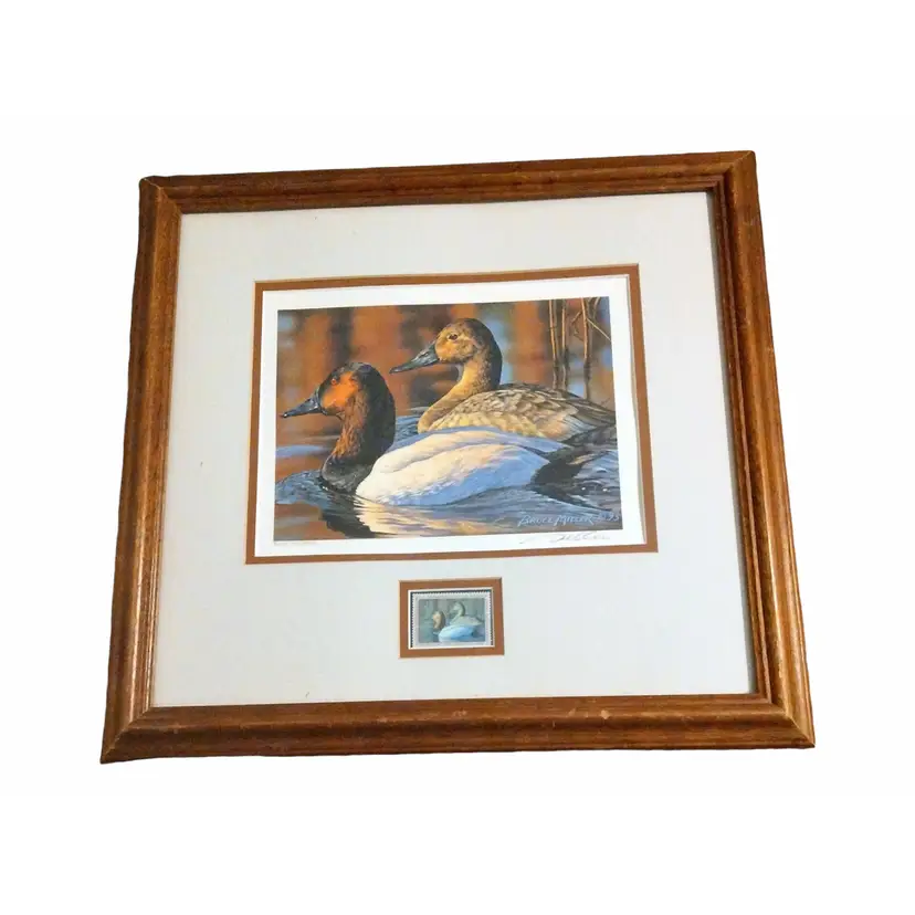 Bruce Miller Art Print With Stamp Federal Migratory Canvasback Ducks 1983 Signed #712