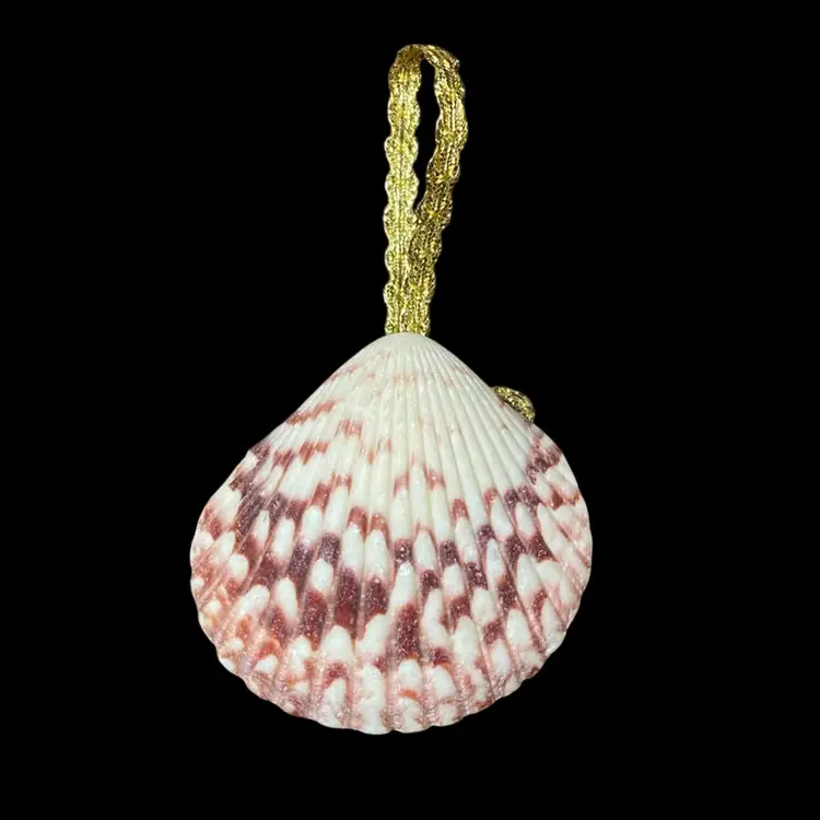 Handmade Shell Ornament w/Jingle Bells 4”x 2”
