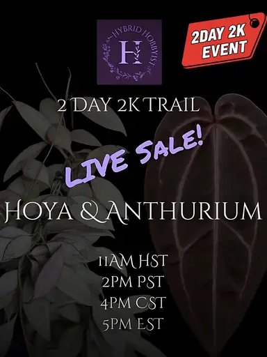 2 Day 2K Trail