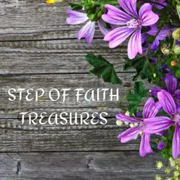 stepfaithtreasures