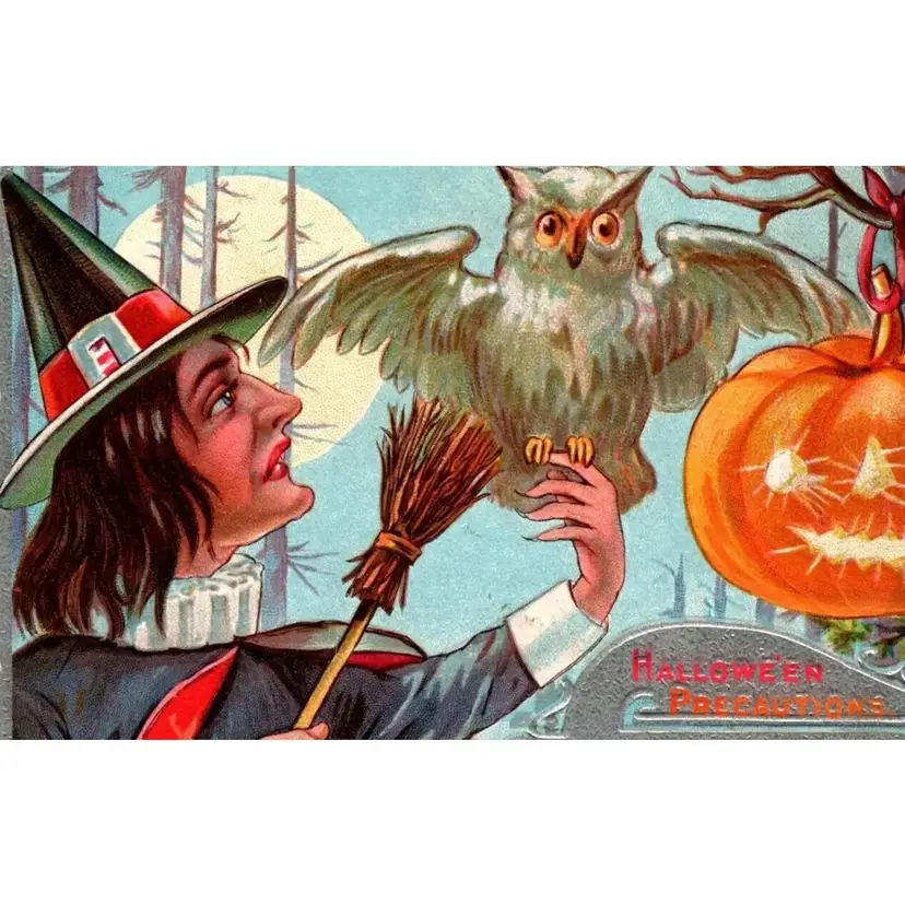 #01 Halloween Precautions Postcard Fantasy Witch Owl Fantasy Full Moon JOL Forest