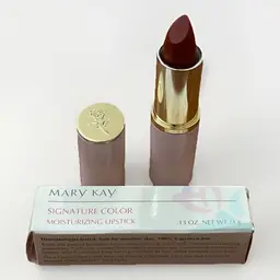 Mary Kay Lipstick Chocolate Mousse 1728 Signature Color Moisturizing NOS Retired