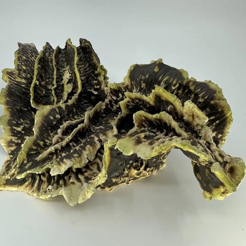 Organic Stone Art Table Decor