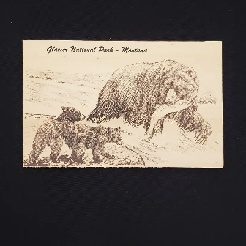 Postcard Wood GLACIER NATIONAL PARK Montana Souvenir with Grizzly Bear & Cubs