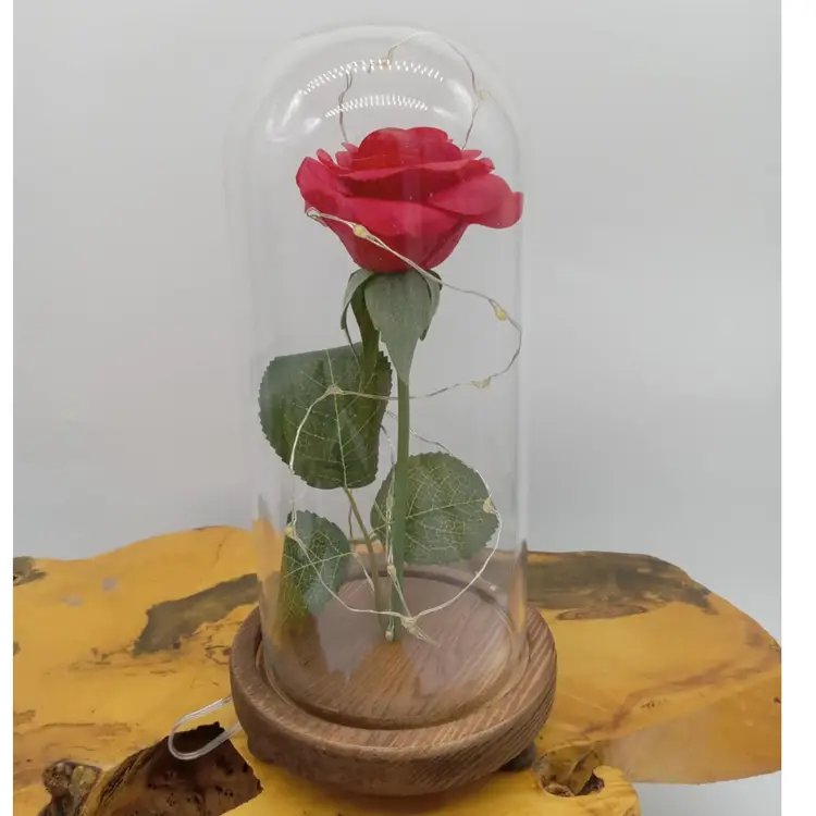 Beauty and the Beast rose, under glass, lights up