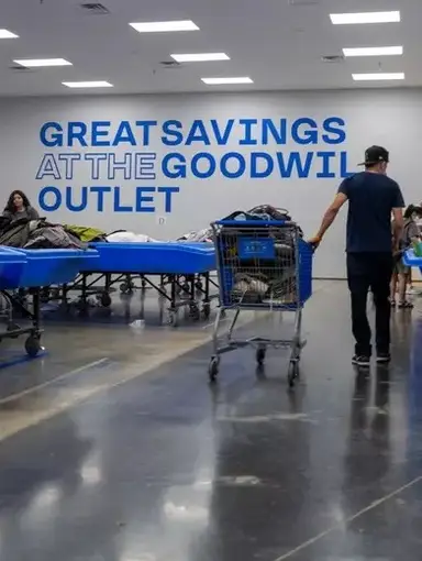 Recent Finds From The Bins!