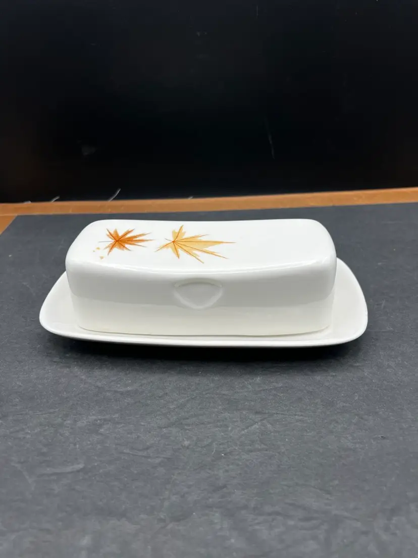#930B Vintage Iroquois China Harvest Time Covered Butter Dish, Beautiful Leaf Pattern