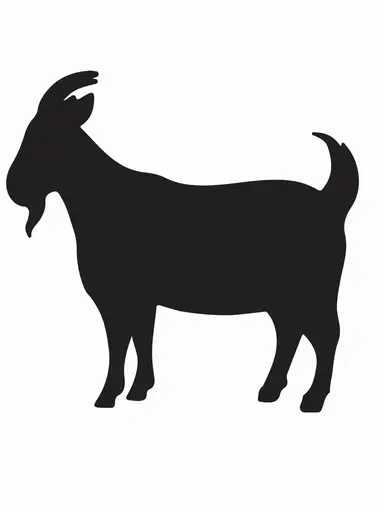 𝐆 𝐎 𝐀 𝐓 𝐄 𝐃 In The Morning!