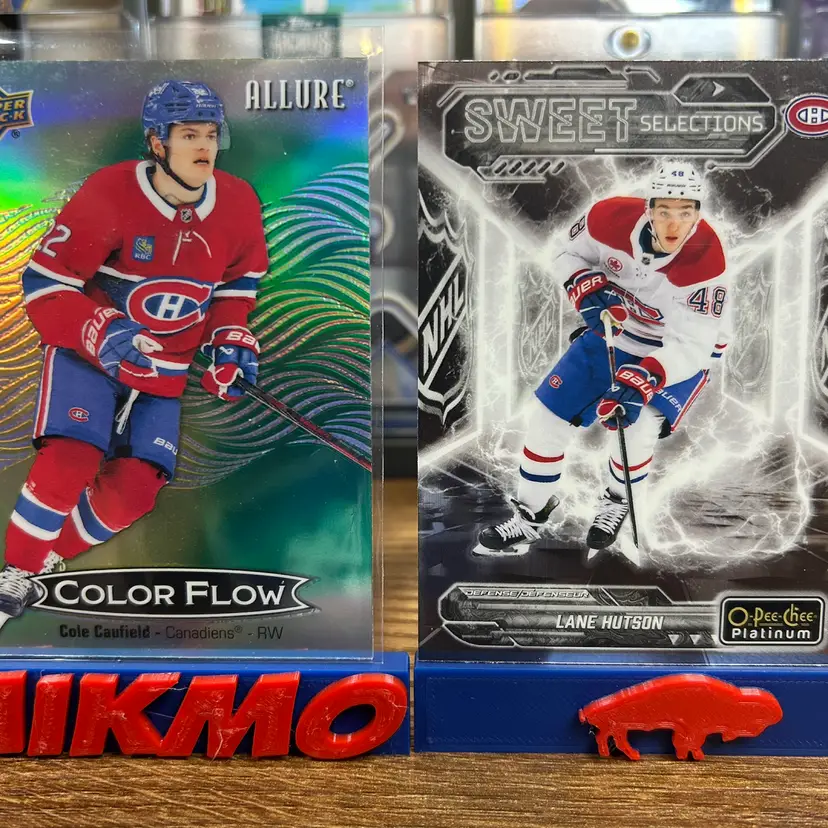 Montreal Canadiens Lot NHL
