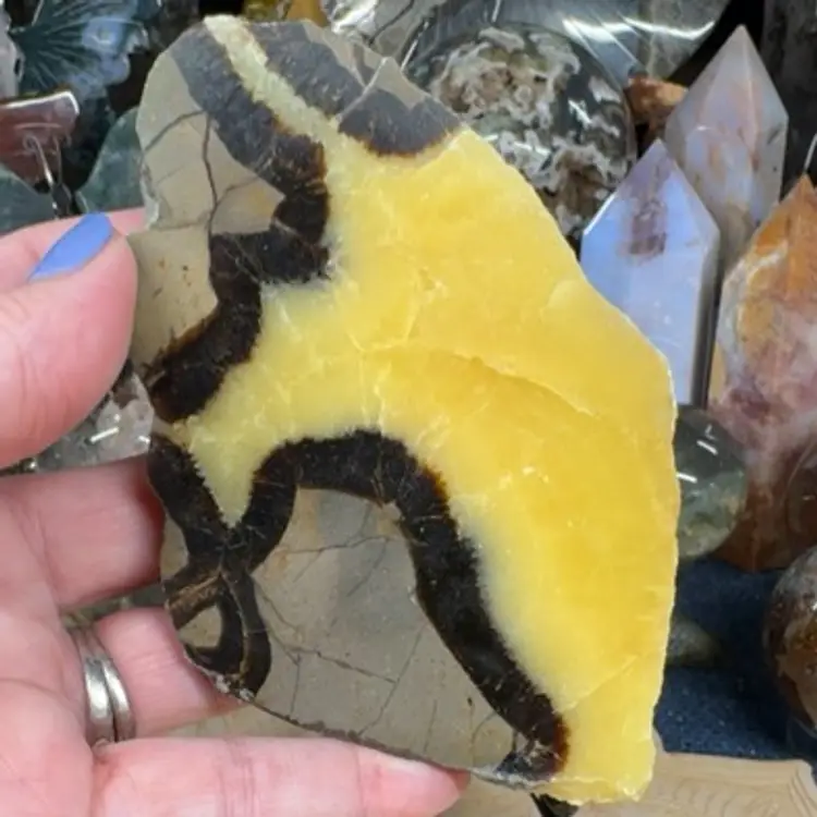 Septarian Slab 25D
