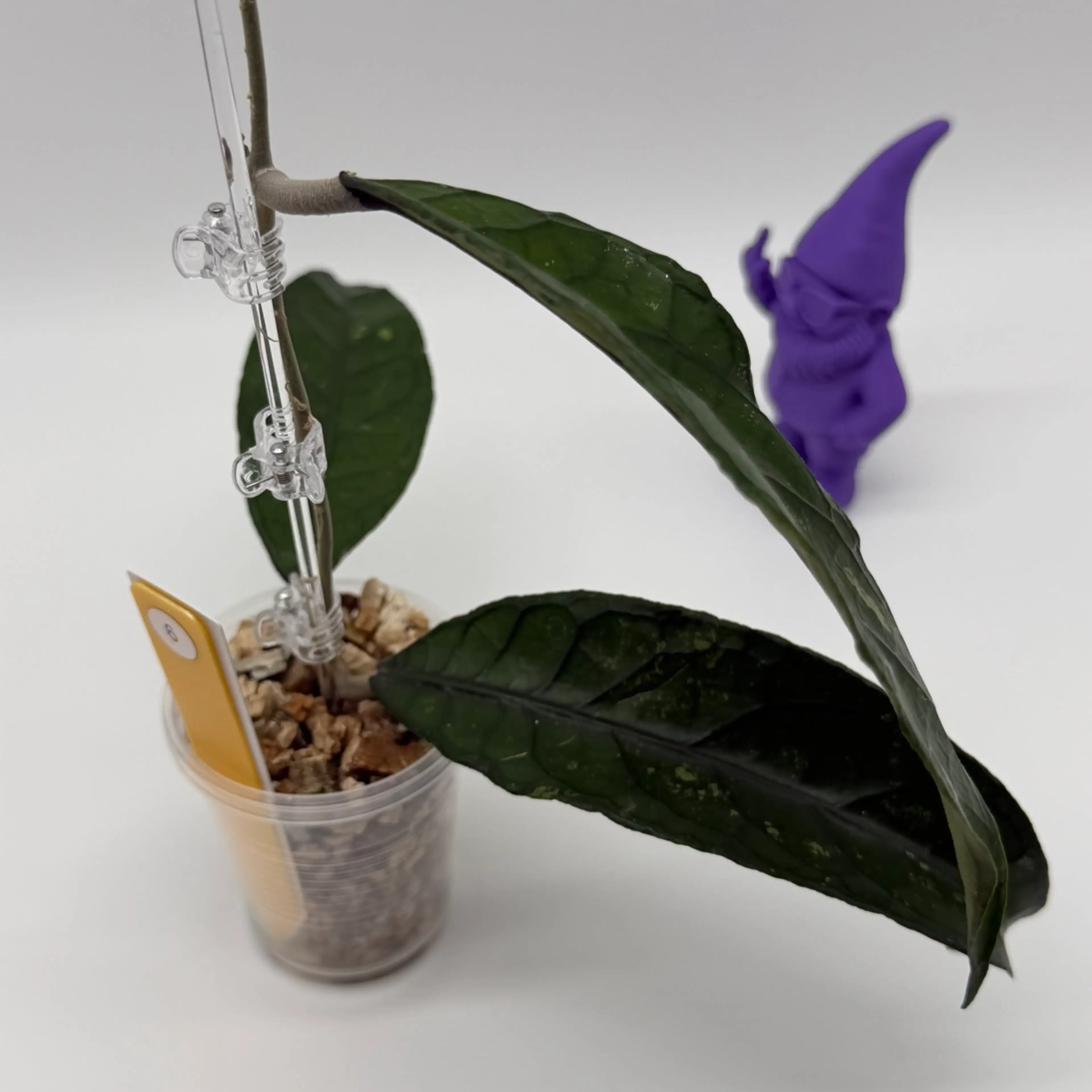 Image 3 of 3