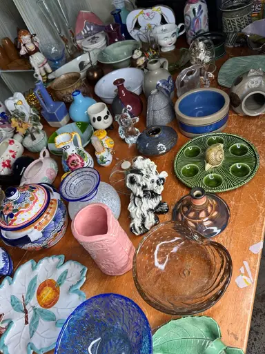 $8 Starts— Shop the Table! w/ Koalatea 🐨