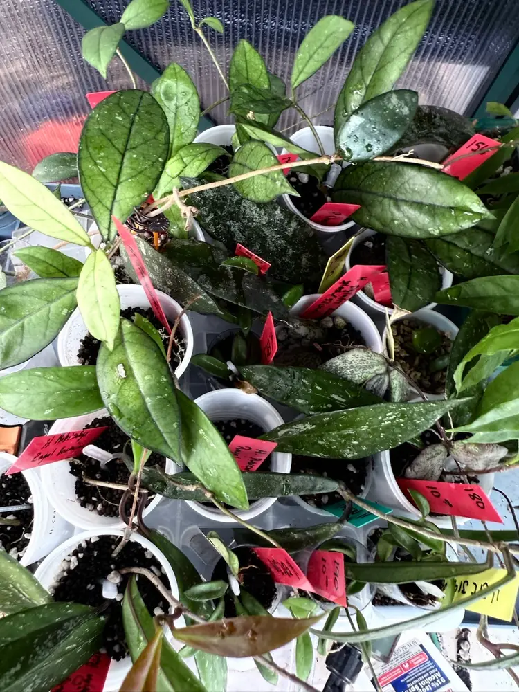 Fall Prop Box Liquidation Mystery Box