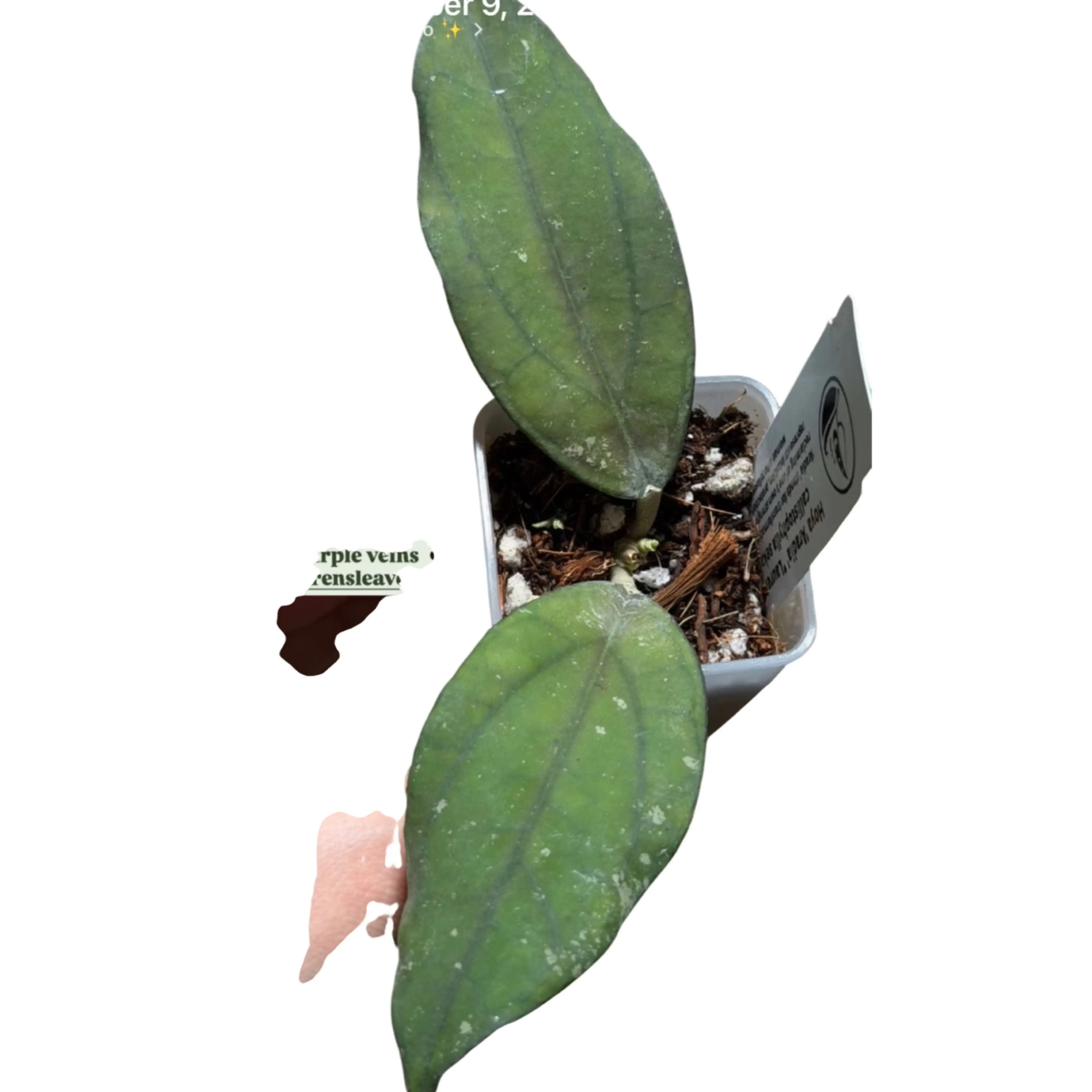 Image 4 of 4