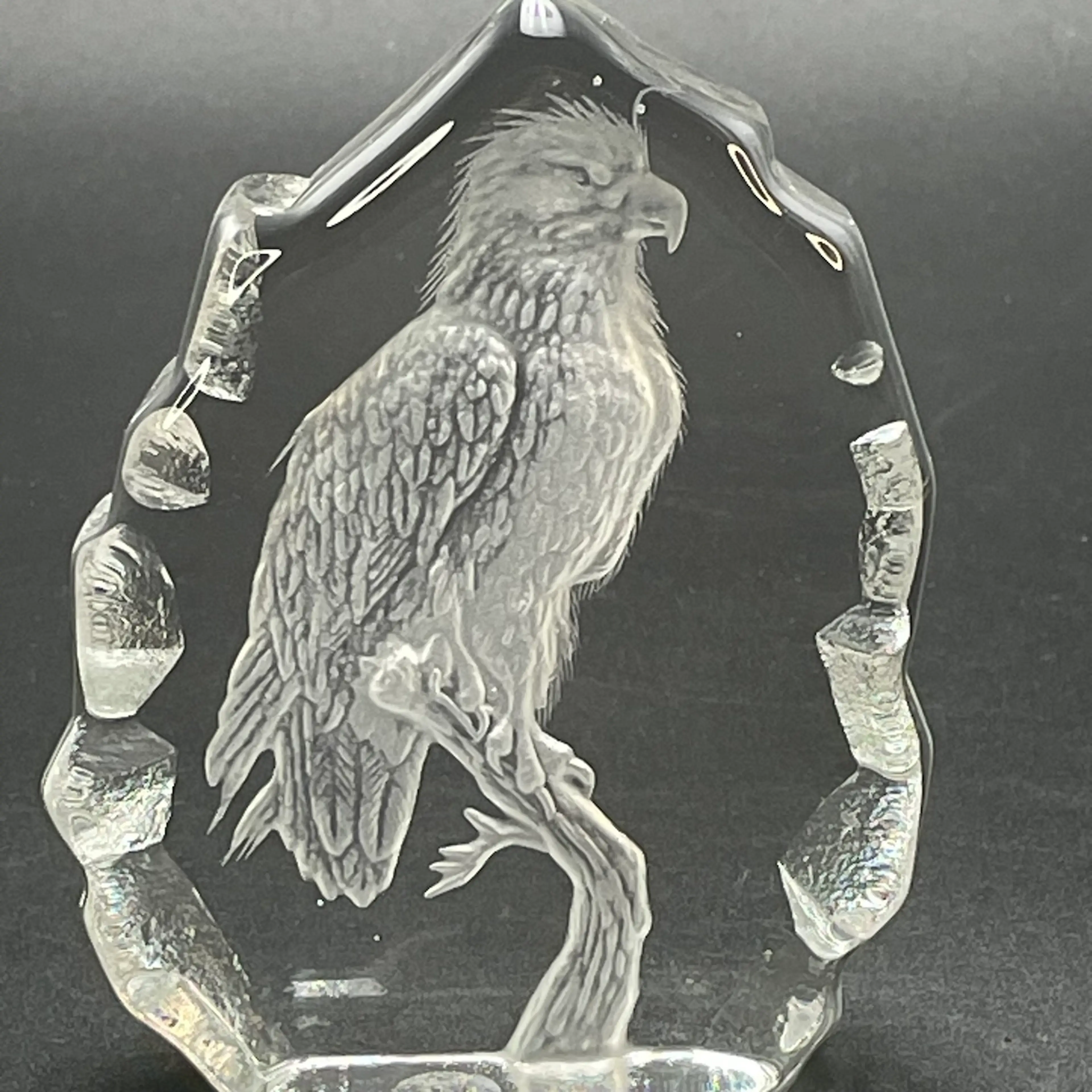 Image 2 of 14