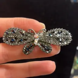 Hair Clip