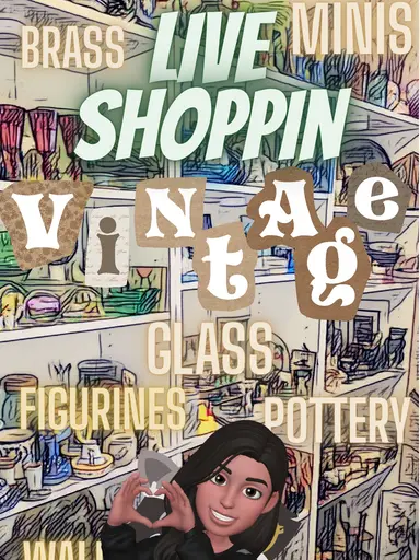 ⚜️New in Vintage Bin⚜️Shop Shelves 