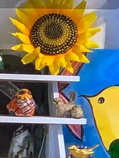 Horses 🐎 Birds And Other Winged Items. Let’s Get Loud