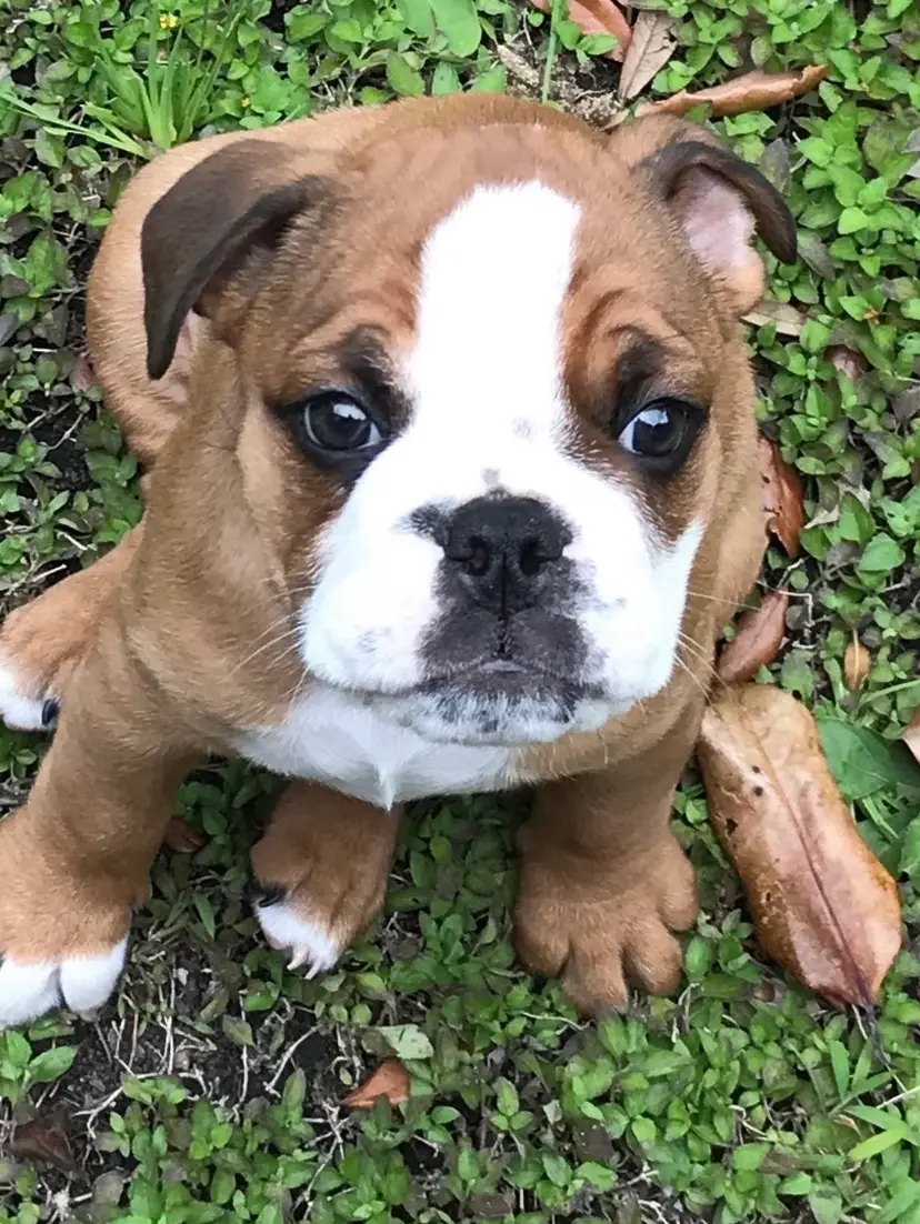 Livestream thumbnail