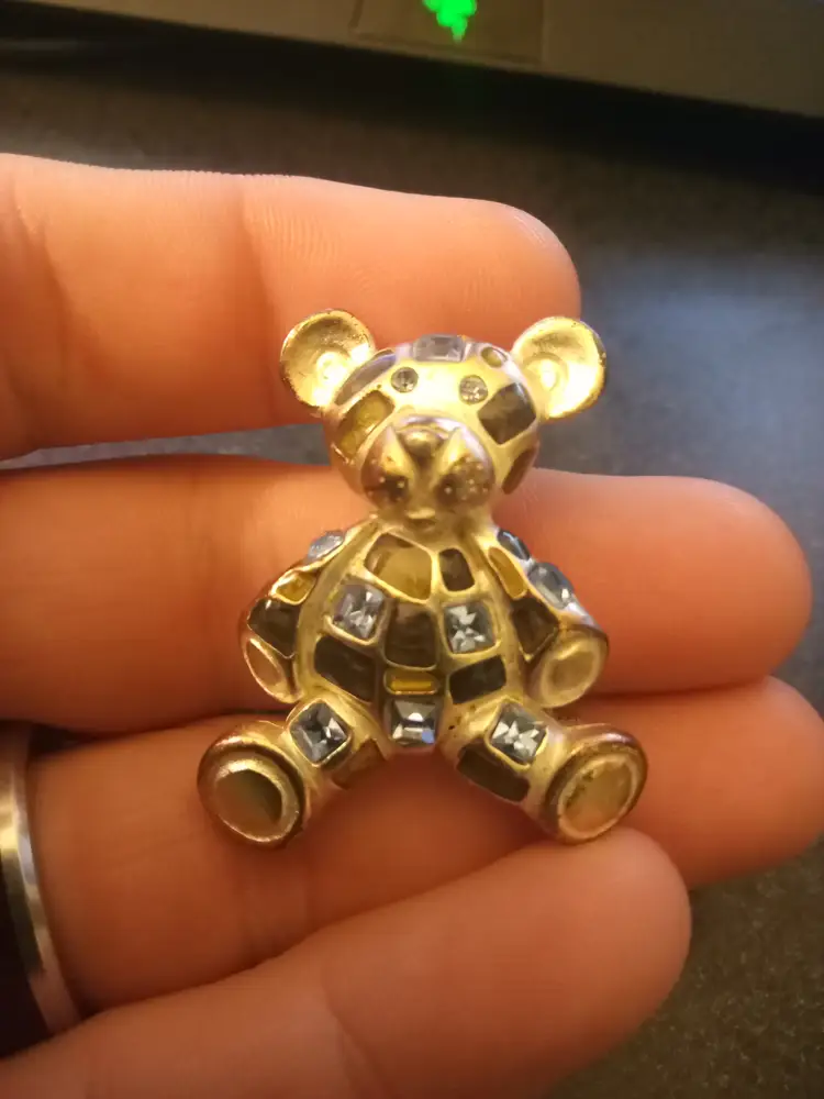 Teddy bear brooch.