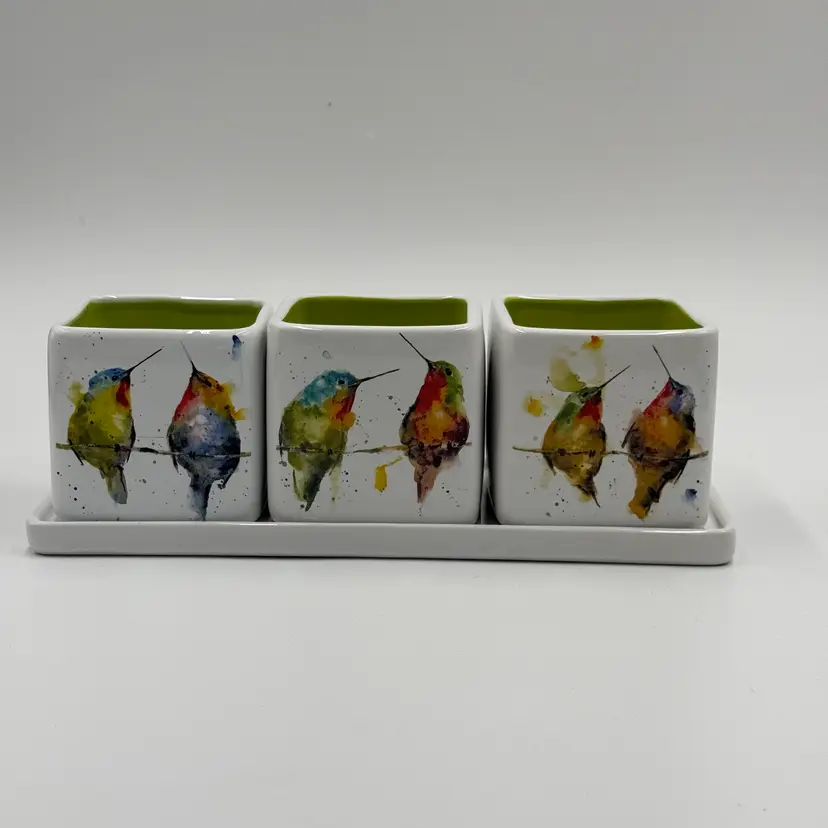 Demdaco Dean Crouser Hummers On A Wire Watercolor Stoneware Herb Planter Four Piece Set