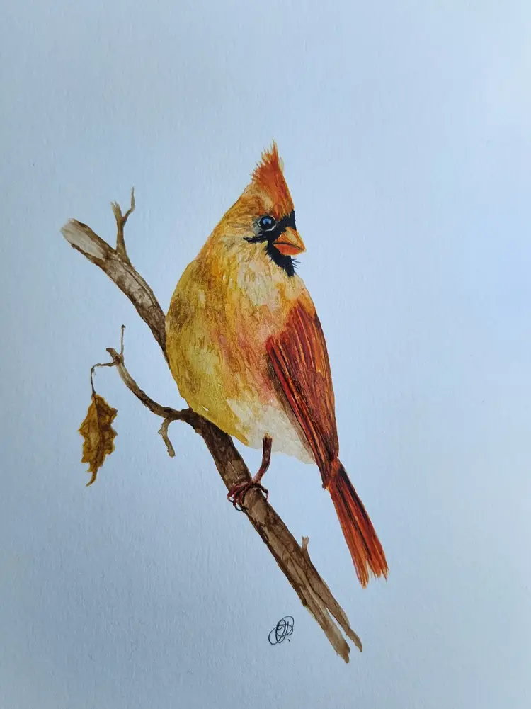 Bird's Eye View Art Show