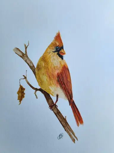 Bird's Eye View Art Show